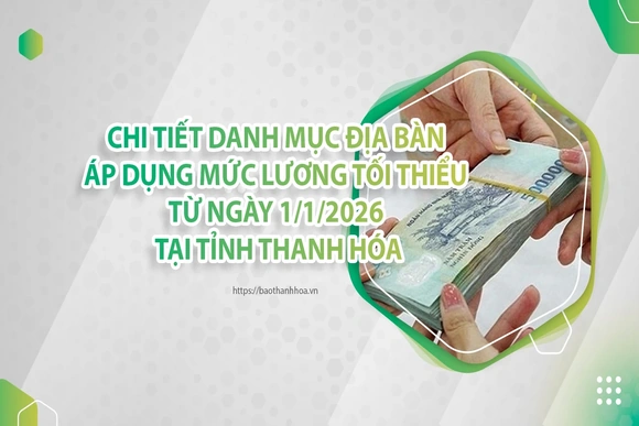 [Interactive] Chi tiết danh mục địa bàn áp dụng mức lương tối thiểu từ ngày 1/1/2026 tại Thanh Hóa