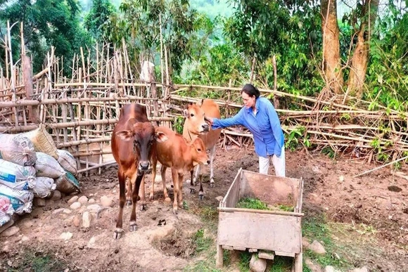 Từ hỗ trợ sinh kế đến khơi dậy ý chí vươn lên thoát nghèo