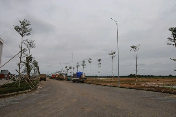 Từ nghị quyết đến hành động