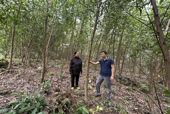 Đảng bộ xã Giao An đưa nghị quyết vào cuộc sống