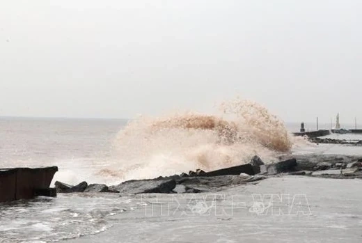 Chủ động ứng phó với rét đậm, rét hại và gió mạnh trên biển