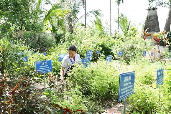 Phát triển y dược cổ truyền trong chăm sóc sức khỏe Nhân dân