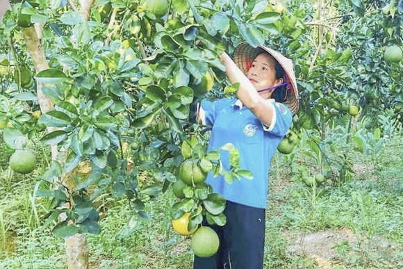 Thạch Quảng tập trung phát triển kinh tế, xây dựng nông thôn mới