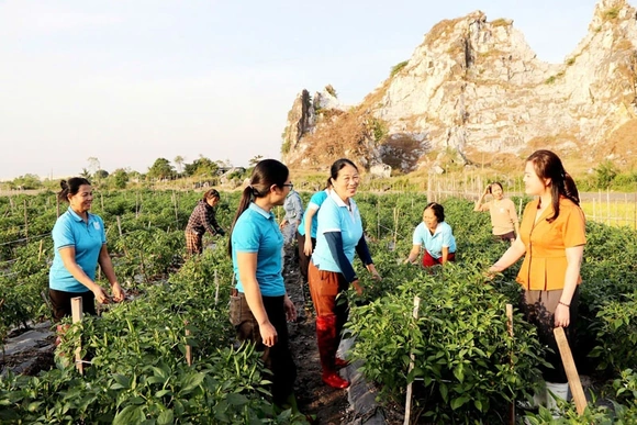 Tạo cơ hội, kích cầu cho các HTX do phụ nữ tham gia quản lý phát triển