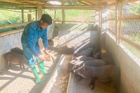 Chàng trai dân tộc Mường vượt khó, truyền cảm hứng khởi nghiệp