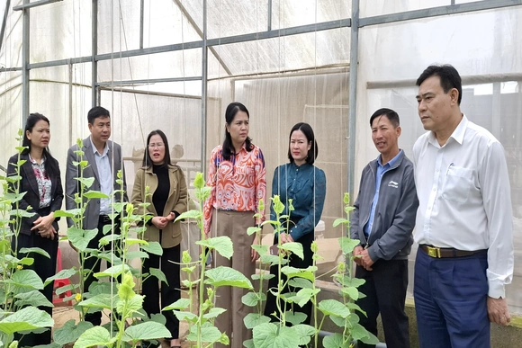 Tập huấn chuyển đổi số và ứng dụng app “Nông dân Việt Nam”