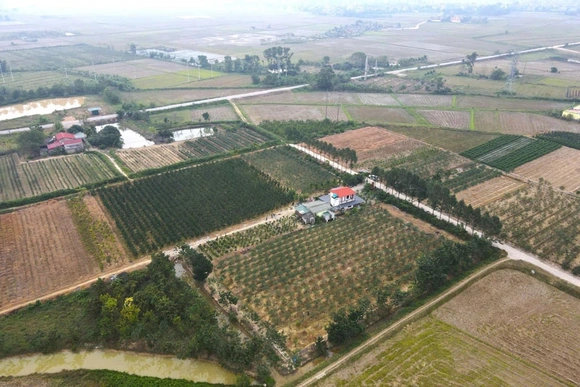 Từ câu “khích tướng”, một nông dân thuần hóa đất hoang thành trang trại kiểu mẫu