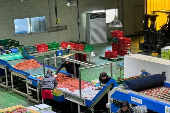 Xuất khẩu lao động: Những mảng màu sáng - tối