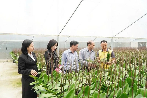 Tự hào nông dân Thanh Hóa thời đại mới