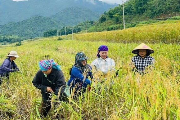 Khởi sắc bản Pùng