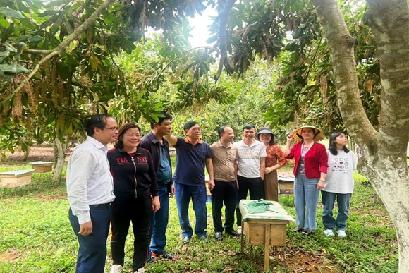 Vân Du phát triển kinh tế - xã hội theo hướng bền vững