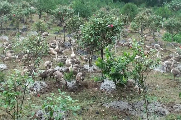 Những “công nhân