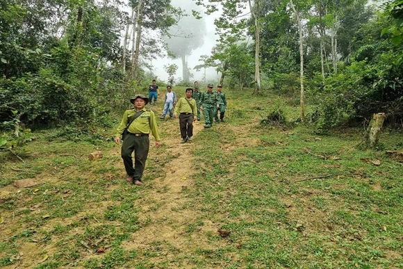Phát triển rừng gắn phủ xanh đất trống,&nbsp;đồi núi trọc ở Trung Lý