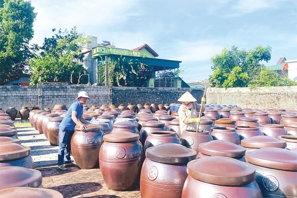 Các HTX đẩy mạnh sản xuất phục vụ thị trường cuối năm