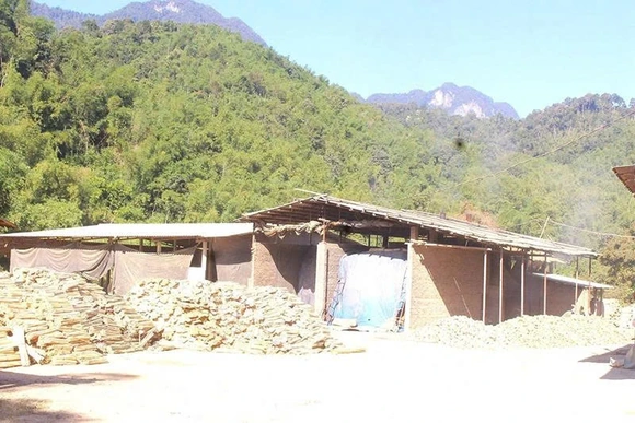 Bảo đảm môi trường trong&nbsp;chế biến lâm sản ở Sơn Điện