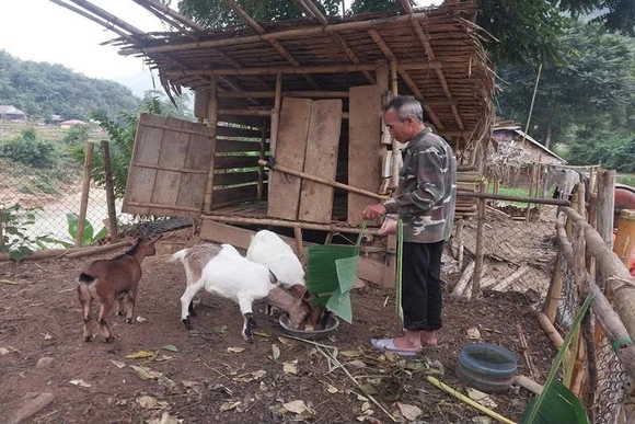 Tạo sinh kế bền vững&nbsp;cho hộ nghèo ở Nam Xuân