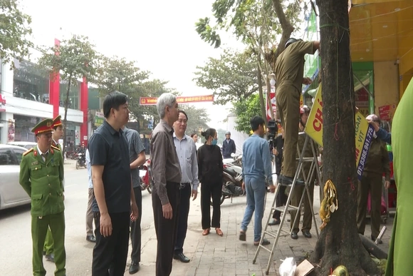 Từ 21/12, xã Triệu Sơn ra quân giải tỏa vi phạm hành lang an toàn giao thông