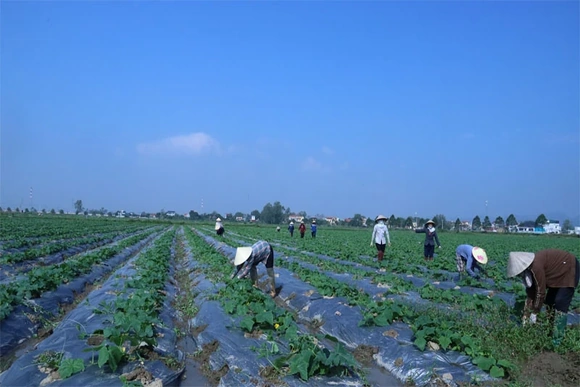 Mở rộng không gian phát triển, “đánh thức” tiềm năng vùng đất Ba Đình