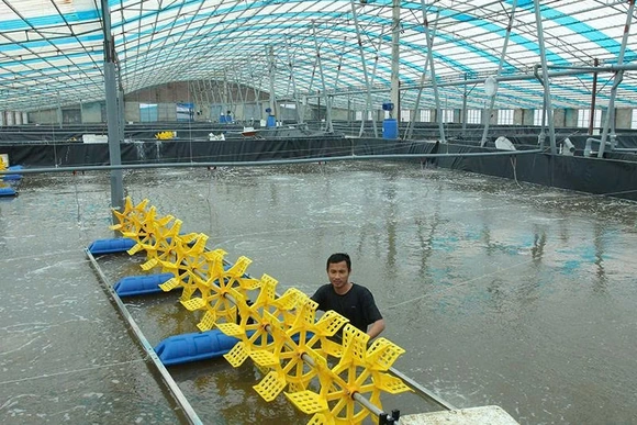 Chủ động nguồn cung thủy sản&nbsp;cho thị trường dịp tết