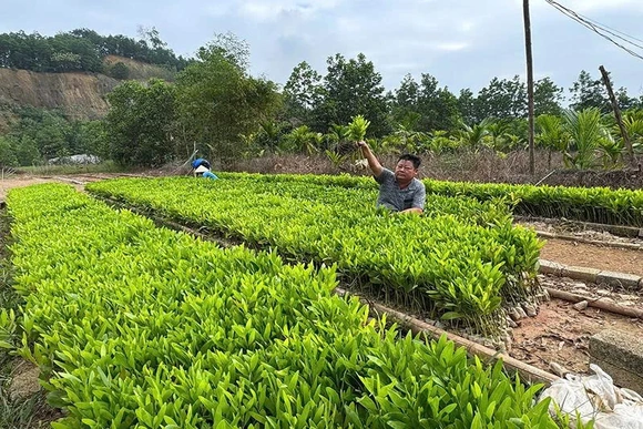 Luận Thành đẩy mạnh công tác giảm nghèo, nâng cao mức sống cho người dân