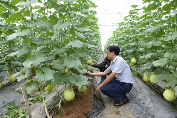 Tập trung phát triển sản phẩm nông nghiệp chủ lực