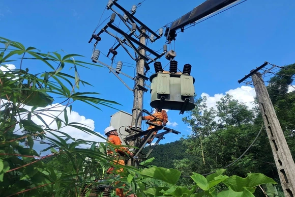 Đội quản lý điện lực khu vực Quan Hóa tập trung nâng cấp hệ thống lưới điện