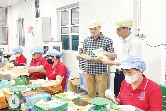 Đẩy mạnh liên kết, đồng hành cùng nông dân phát triển