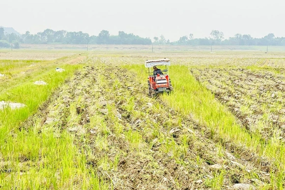 Chuẩn bị các điều kiện sản xuất vụ xuân