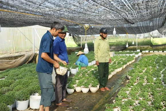 “Gỡ vướng” để tập trung đất đai, phát triển nông nghiệp ở Hoằng Giang