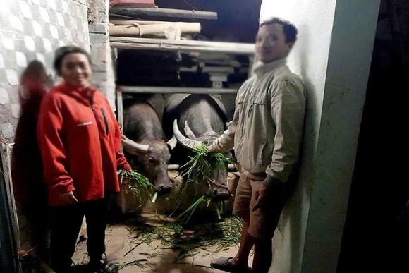 Hỗ trợ phụ nữ di cư tự do hòa nhập cộng đồng