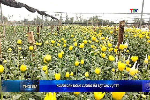 Bản tin Thời sự tối 7/1/2026:&nbsp;Người dân Đông Cương tất bật vào vụ Tết