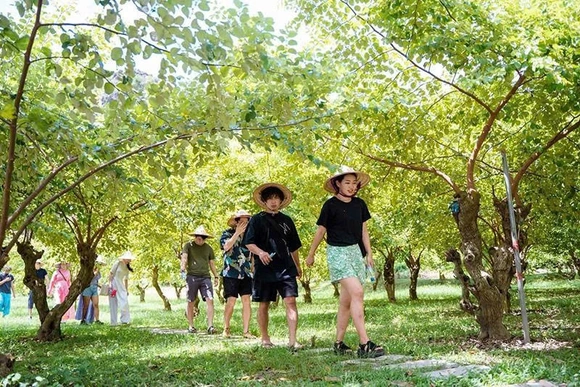 Du lịch nâng tầm sản phẩm&nbsp;nông nghiệp địa phương