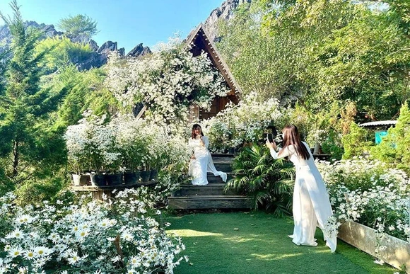 Trải nghiệm du lịch sinh thái&nbsp;qua những vùng hoa