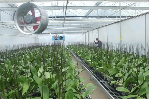 Chuyển đổi số tạo đột phá&nbsp;phát triển nông nghiệp bền vững