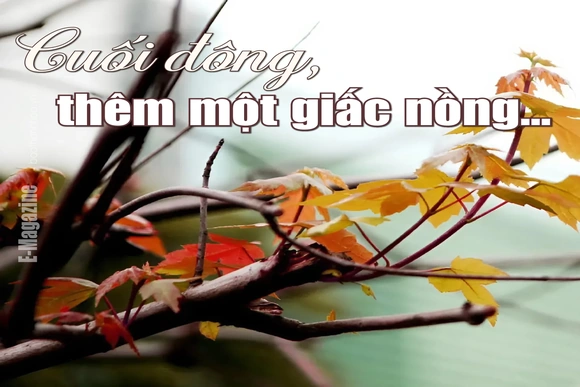 [E-Magazine]: Cuối đông, thêm một giấc nồng...