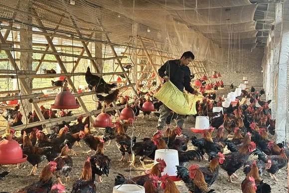 Đáp ứng nhu cầu về vốn, thúc đẩy phát triển&nbsp;sản xuất, kinh doanh cho người dân