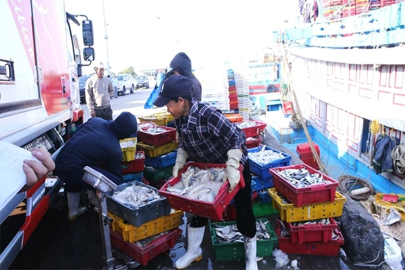 Siết chặt quản lý hoạt động thu mua thủy sản khai thác