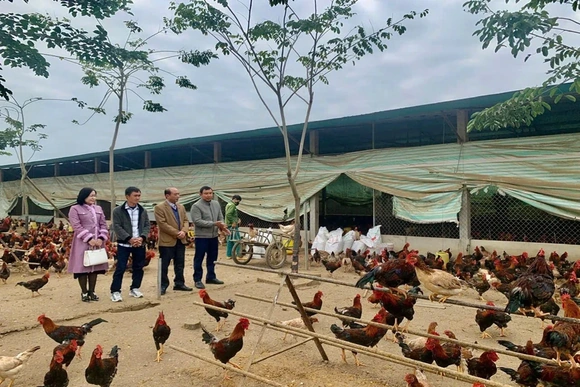 “Bệ đỡ” giúp nông dân vươn lên làm giàu