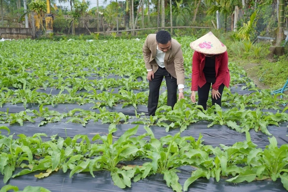 Hệ sinh thái Sâm Nữ Hoàng – Giải pháp phát triển dược liệu theo chuỗi giá trị bền vững