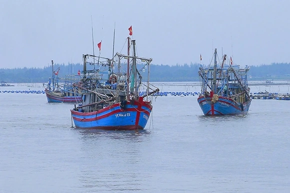 Hướng ra biển lớn