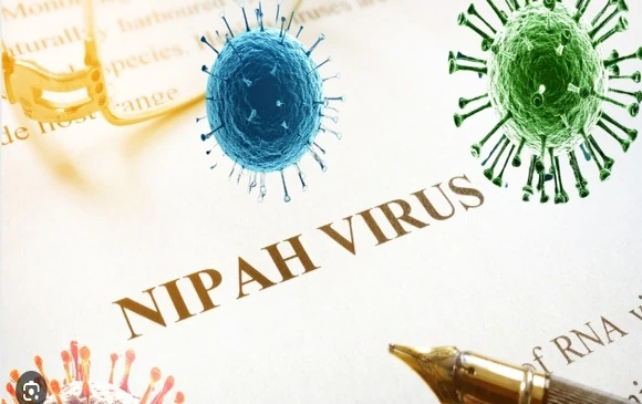 Tăng cường giám sát phòng, chống dịch bệnh do virus Nipah trên địa bàn tỉnh