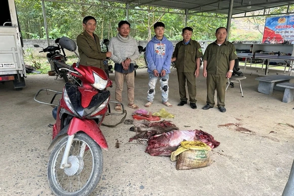 Hai đối tượng trộm trâu của người dân khi cột trên đồi