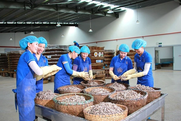 Mỗi sản phẩm là một câu chuyện...