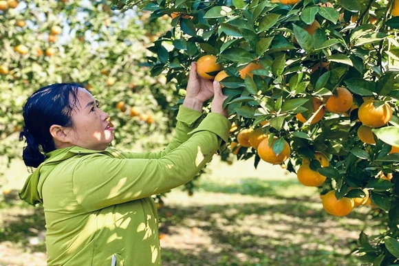 Mùa xuân đầu tiên