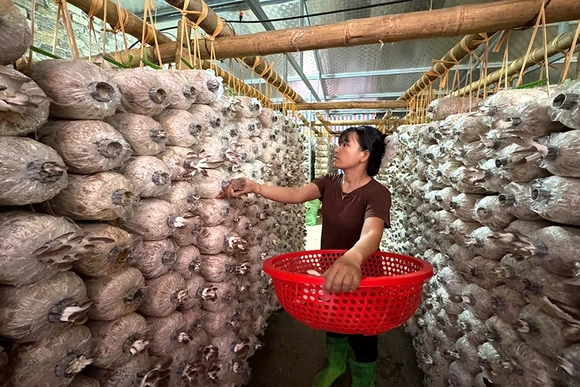 Xuân về, Thành Vinh thêm tự tin và hy vọng