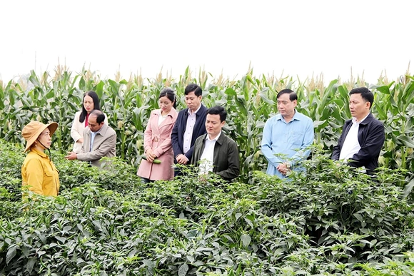 Định Tân quyết tâm đổi mới ngay từ những ngày đầu xuân