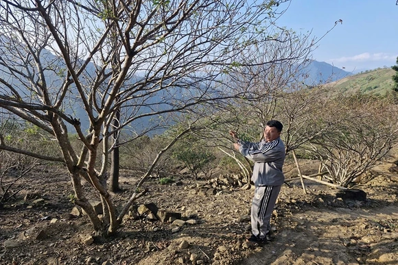 Trao “cần câu” cho hộ nghèo vươn lên thoát nghèo