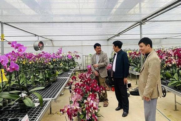 Đổi mới tư duy, nâng tầm các HTX nông nghiệp