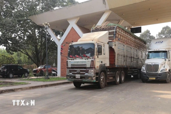 Tạm dừng áp dụng Nghị định số 46 về an toàn thực phẩm đến hết ngày 15/4