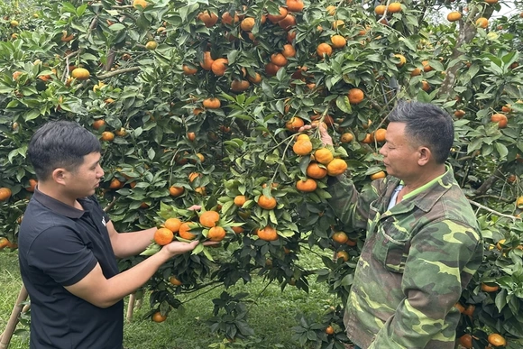 Trưởng thôn 9X tâm huyết với công việc tập thể